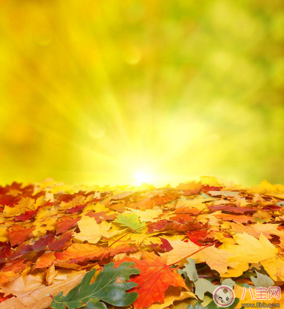 天氣這么熱立秋之后會(huì)降溫嗎 秋老虎究竟是什么