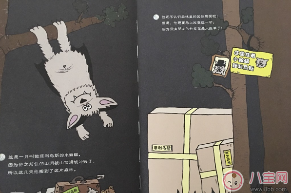 交朋友故事:小蝙蝠菲利烏斯 交朋友故事:小蝙蝠菲利烏斯