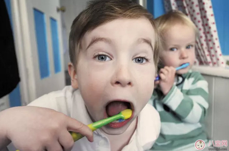 寶寶不愛刷牙 聽聽音樂故事小熊拔牙