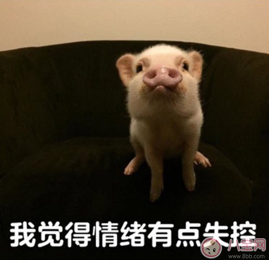 我覺得不行我覺得可以是什么梗 我覺得不行我覺得可以怎么火的