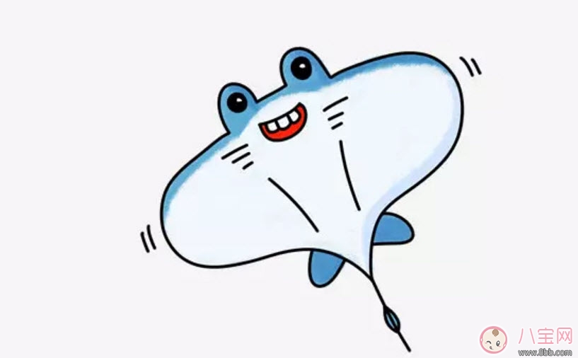 海洋生物趣味多 魚類簡(jiǎn)筆畫