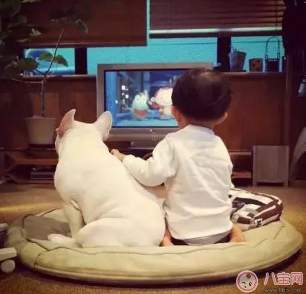 孩子看電視的壞處 孩子看電視上癮怎么辦