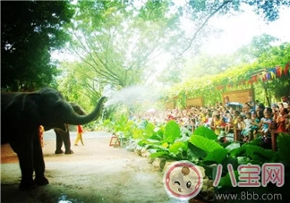 2017七夕節(jié)全家出游攻略 帶娃出行怎么做