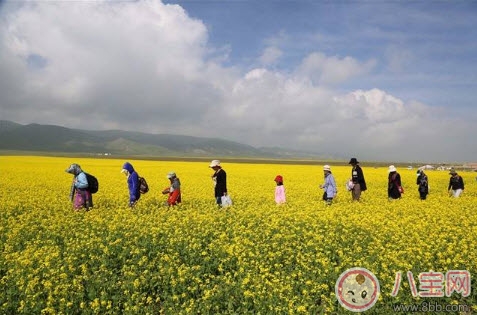 暑假到了 如何為寶寶選擇合適的夏令營(yíng)