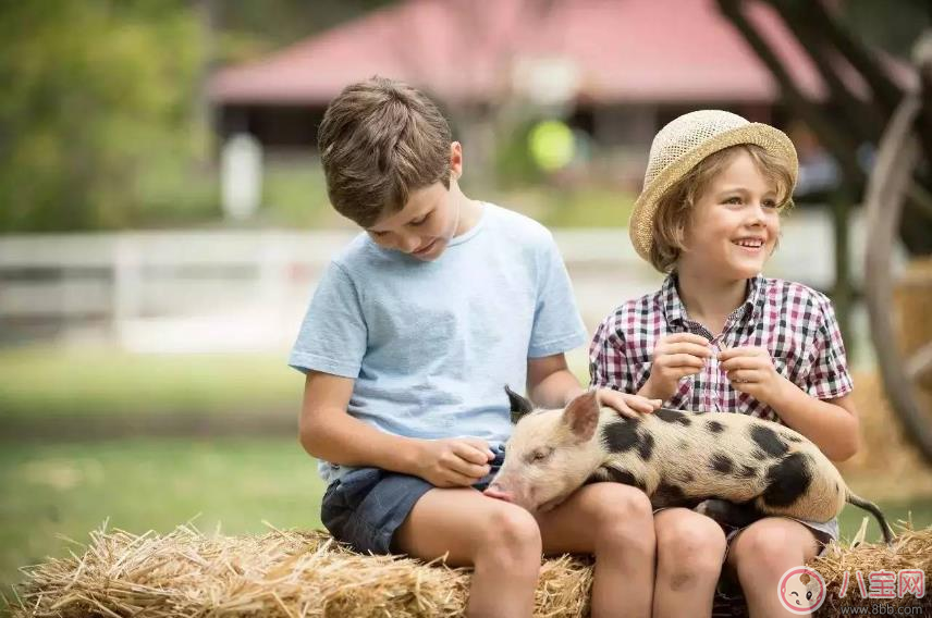 小學(xué)生2天上9個培訓(xùn)班 孩子暑假如何正確安排