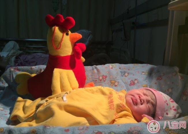 2017年雞寶寶取名禁忌 雞寶寶取名宜用字(男寶寶女寶寶)