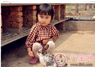 2歲孩子被游樂場小火車碾壓身亡 被忽視的往往是造成悲劇的根源