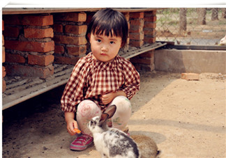 2歲孩子被游樂場(chǎng)小火車碾壓身亡 被忽視的往往是造成悲劇的根源