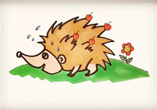 兒童小動(dòng)物簡(jiǎn)筆畫 森林里的小刺猬簡(jiǎn)筆畫