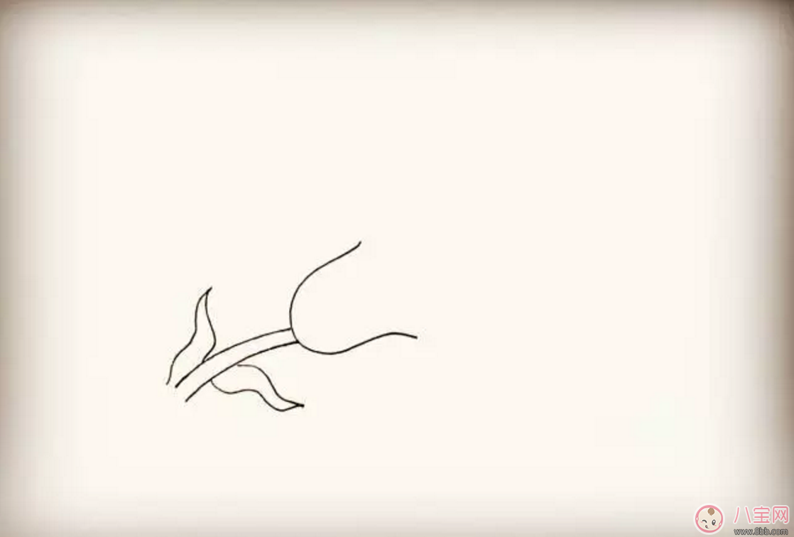 怎么教寶寶花百合花 百合花簡筆畫