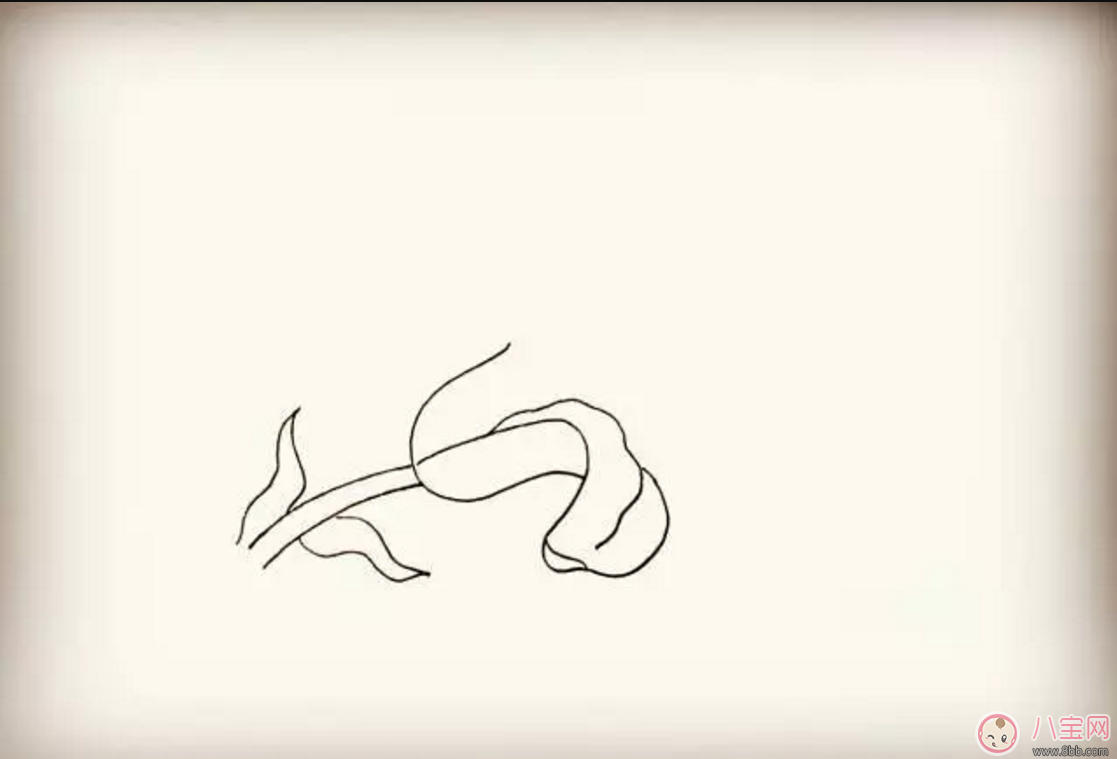 怎么教寶寶花百合花 百合花簡筆畫