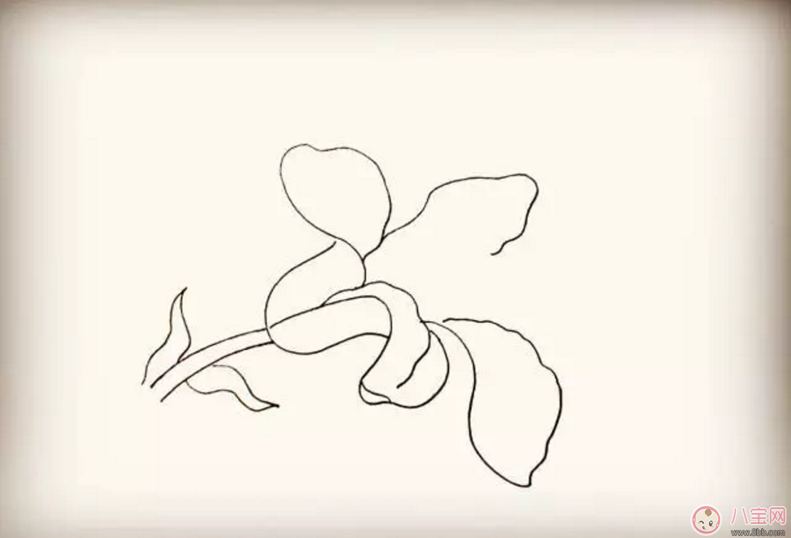 怎么教寶寶花百合花 百合花簡筆畫