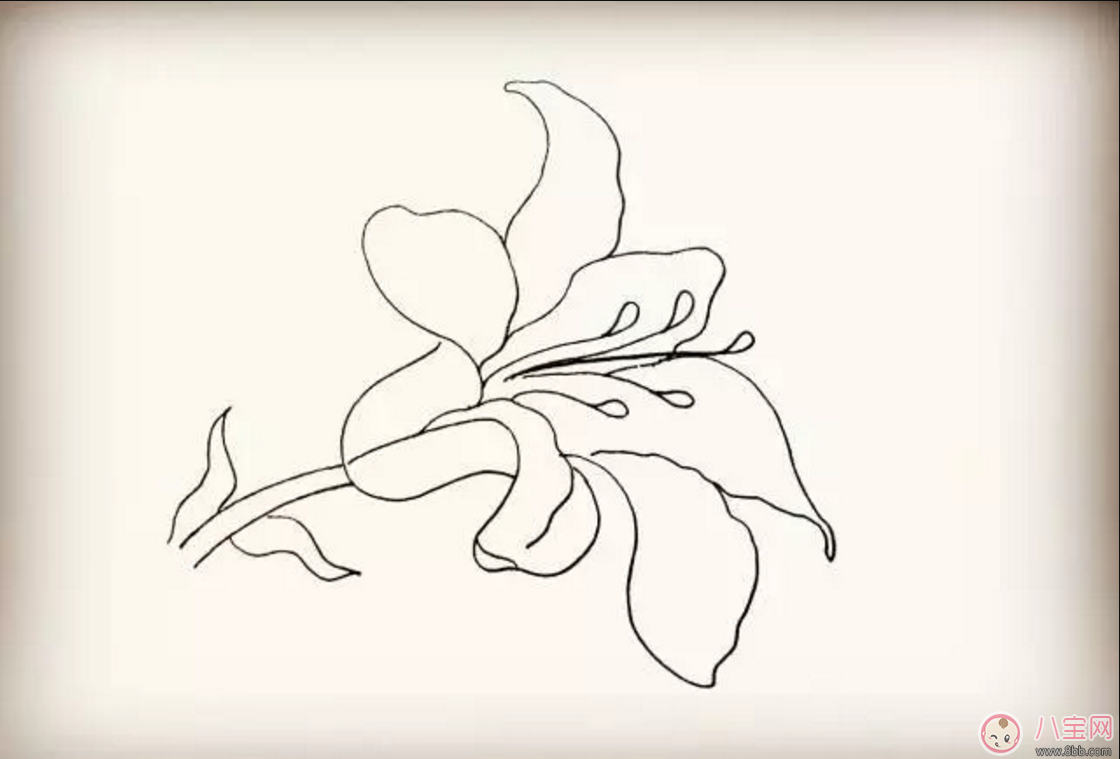 怎么教寶寶花百合花 百合花簡筆畫