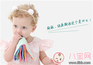 寶寶有買布書的必要嗎 布書什么牌子好