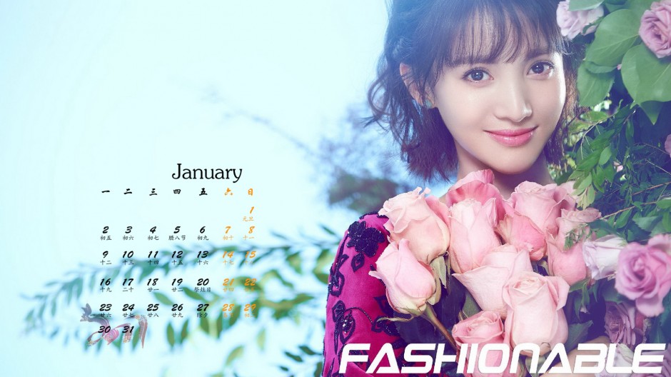 2017年知性美女金晨日歷圖片素材