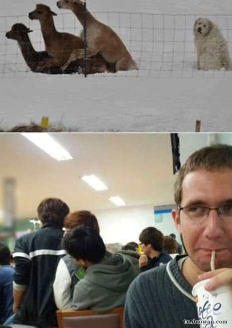 搞笑內(nèi)涵圖之喵星人:我仿佛聞到了小魚干的味道