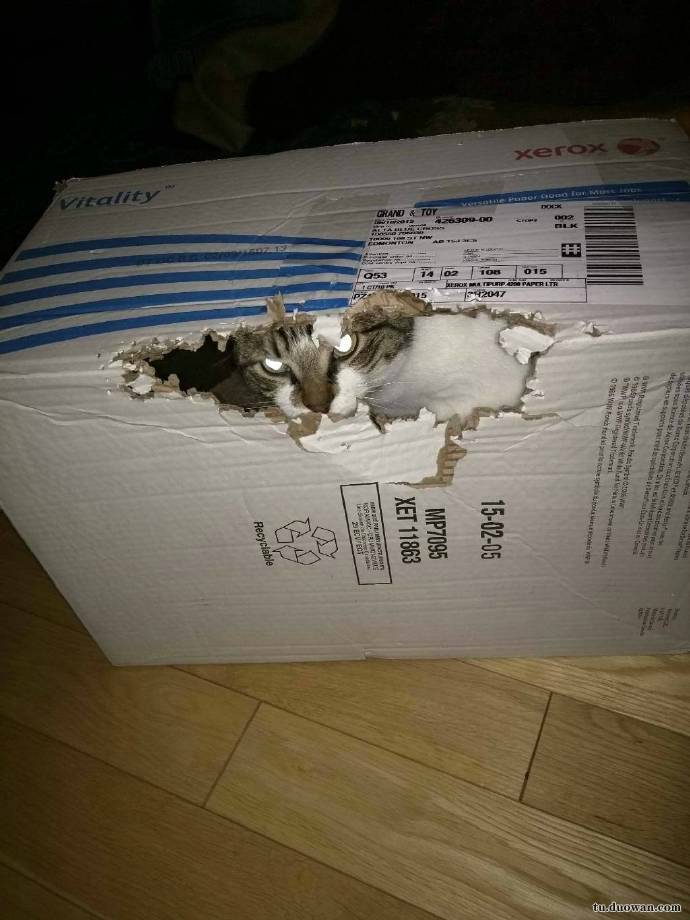 搞笑內(nèi)涵段子圖片大分享