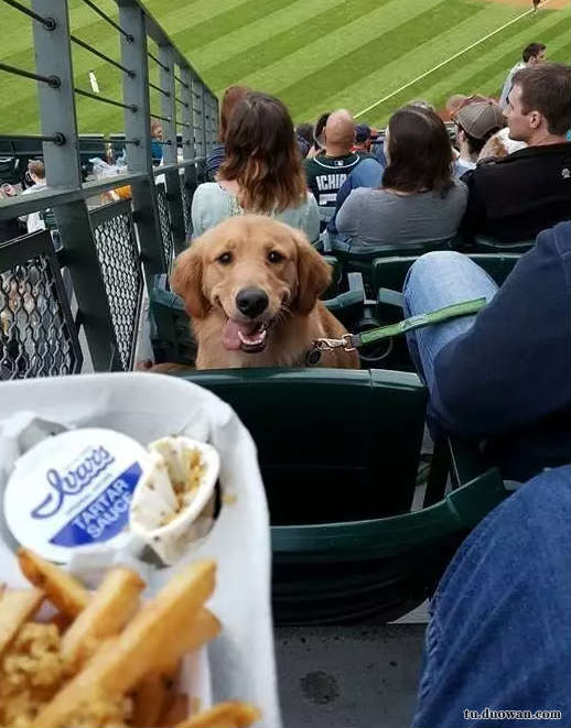 爆笑內(nèi)涵圖片之女廁還有這種東西?