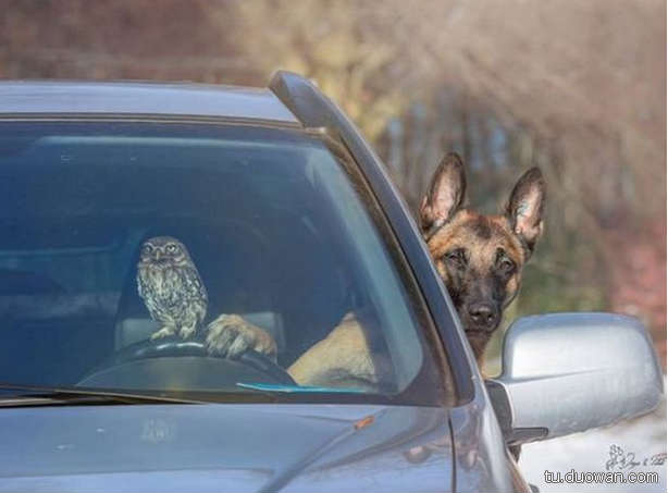 搞笑內(nèi)涵圖片之拔下來那一刻我好方