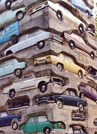 這就是傳說中的“守株待兔”？”