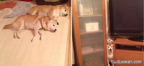 邪惡內(nèi)涵圖片之你第一眼是先看哪里？