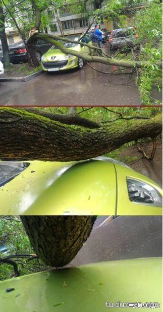 搞笑內(nèi)涵圖片之拔下來那一刻我好方