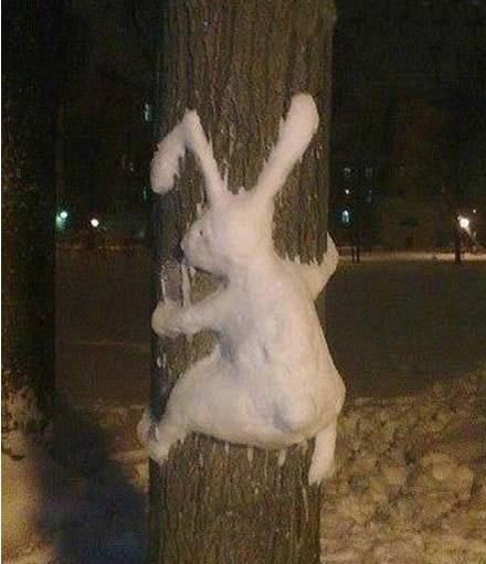 這就是傳說中的&ldquo;守株待兔&rdquo;？