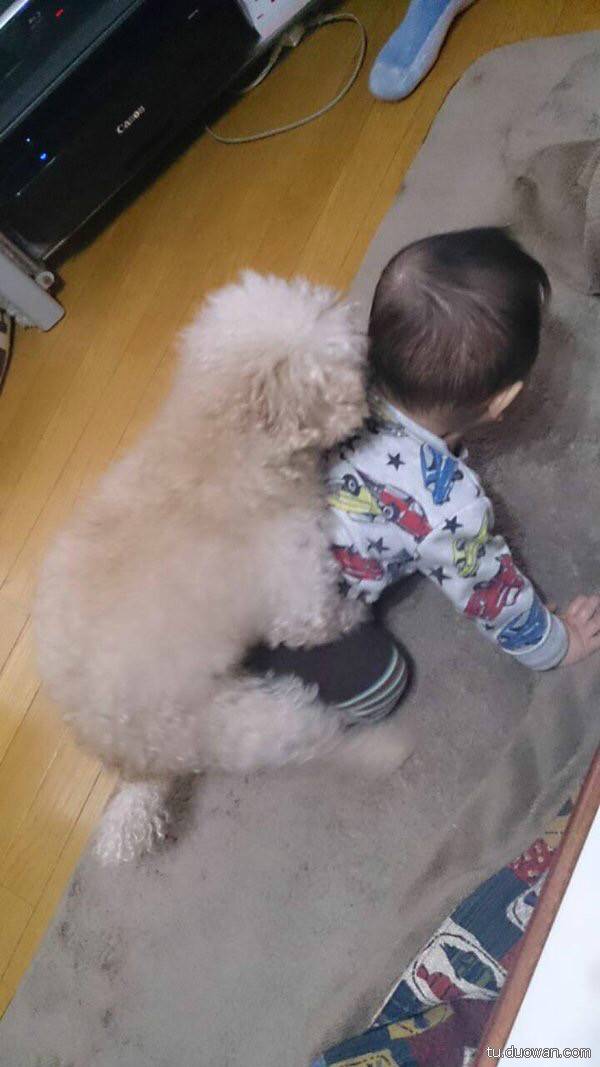 搞笑內(nèi)涵圖片之拔下來(lái)那一刻我好方