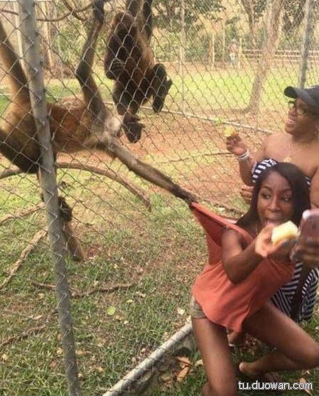 搞笑內(nèi)涵圖片之拔下來那一刻我好方