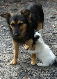 爆笑惡搞圖片之不要離開我”