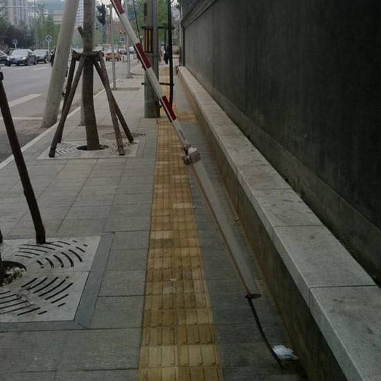 這就是傳說中的&ldquo;守株待兔&rdquo;？