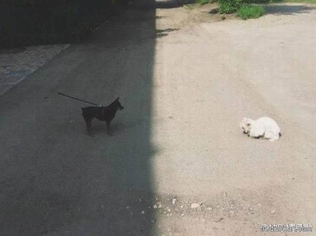 邪惡內(nèi)涵圖片之你第一眼是先看哪里？