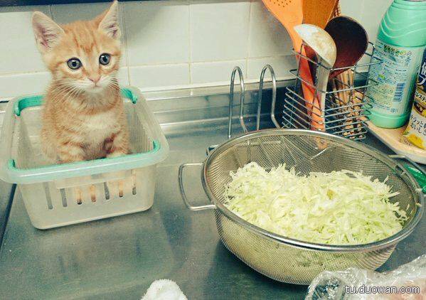 邪惡內(nèi)涵圖片之你第一眼是先看哪里？