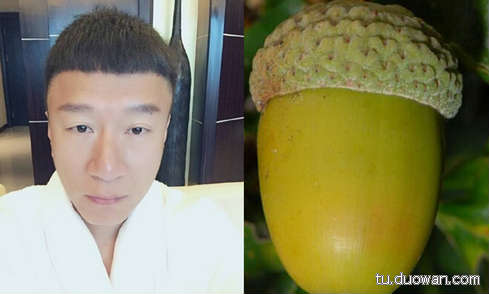 搞笑內(nèi)涵圖片之拔下來那一刻我好方