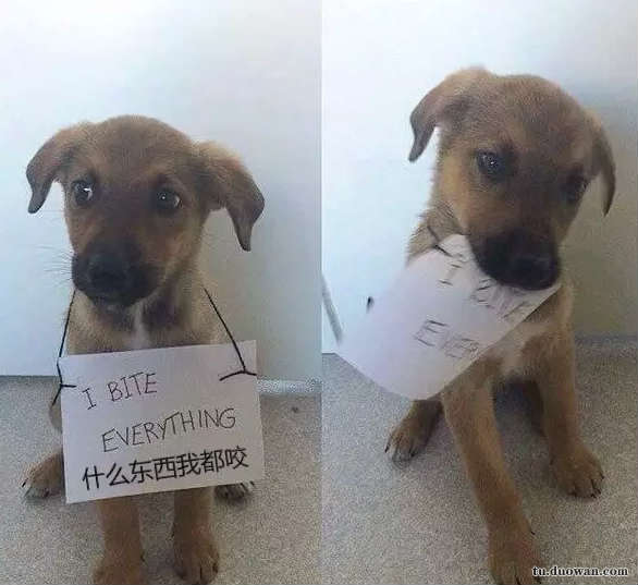 搞笑內(nèi)涵段子圖片大分享