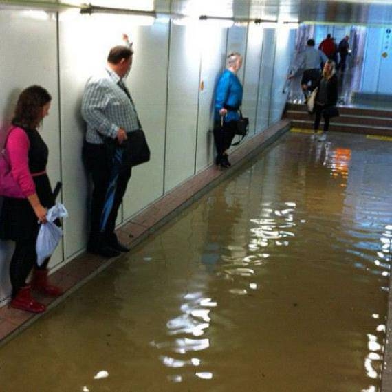 猜一猜她們?cè)诟陕?..