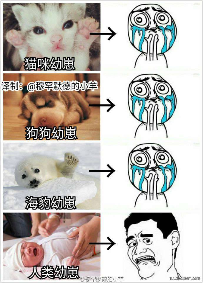 邪惡內(nèi)涵圖片之你第一眼是先看哪里？