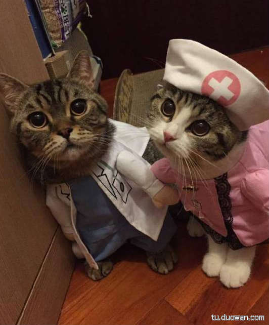 邪惡內(nèi)涵圖片之你第一眼是先看哪里？