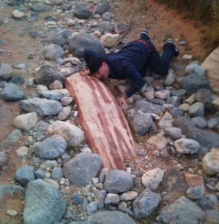 這就是傳說中的&ldquo;守株待兔&rdquo;？