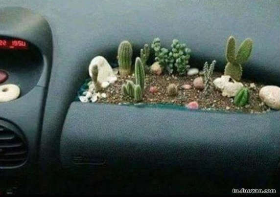 爆笑內(nèi)涵圖片之女廁還有這種東西?