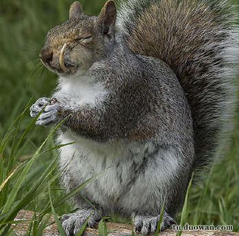 爆笑內(nèi)涵圖片之女廁還有這種東西?