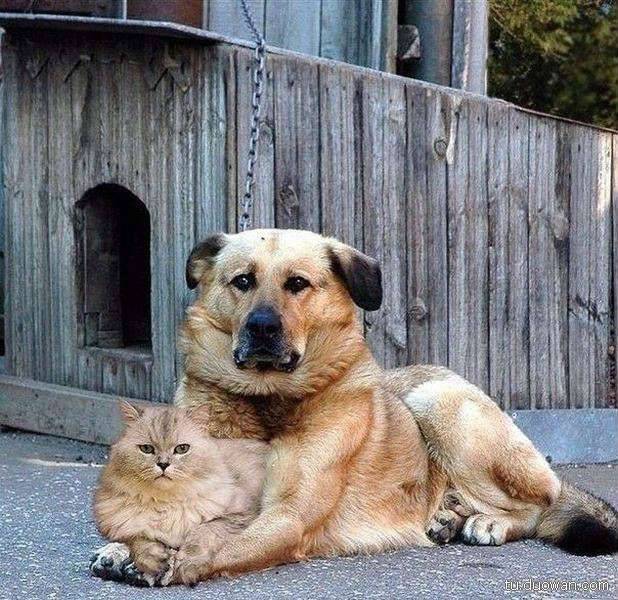 邪惡內(nèi)涵圖片之你第一眼是先看哪里？