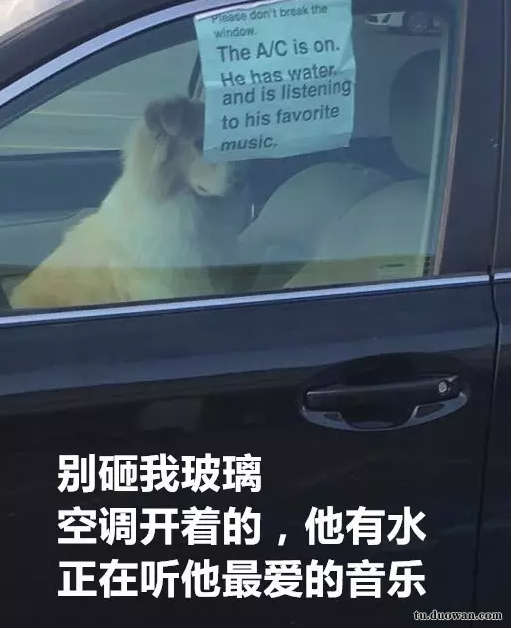 搞笑內(nèi)涵圖之喵星人:我仿佛聞到了小魚干的味道