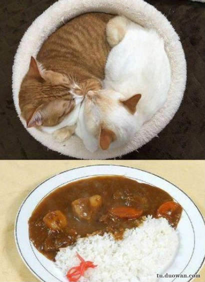 搞笑內(nèi)涵圖片之論男生如何在泳池制造飄逸效果