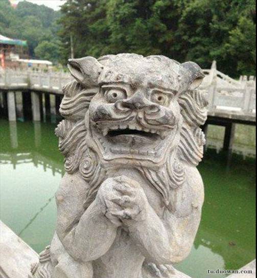 搞笑內(nèi)涵圖片之總感覺(jué)好像哪里不對(duì)