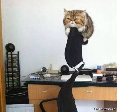 搞笑內(nèi)涵圖片之論男生如何在泳池制造飄逸效果