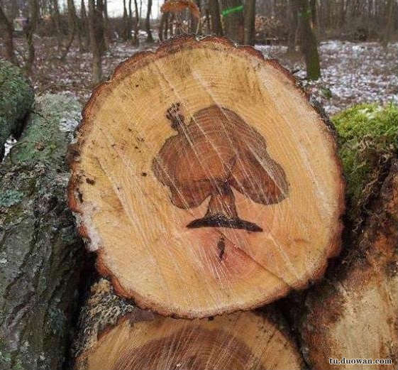 搞笑內(nèi)涵圖片之總感覺好像哪里不對