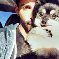 QQ個性陽光型男頭像 愛動物的暖男