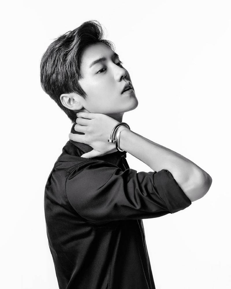 鹿晗黑白寫真時尚范十足 又被&ldquo;撩&rdquo;了