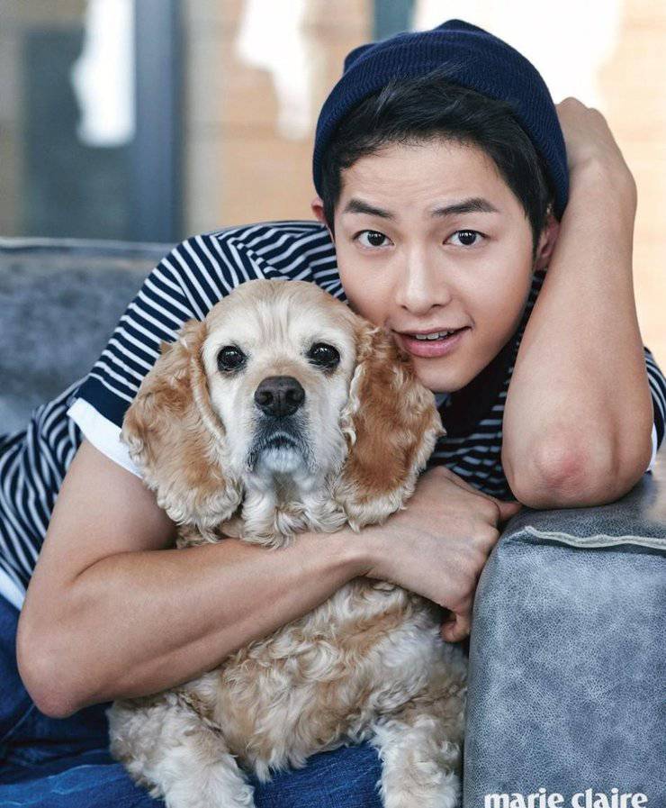 宋仲基最新寫真照曝光 化身愛狗帥氣宅男